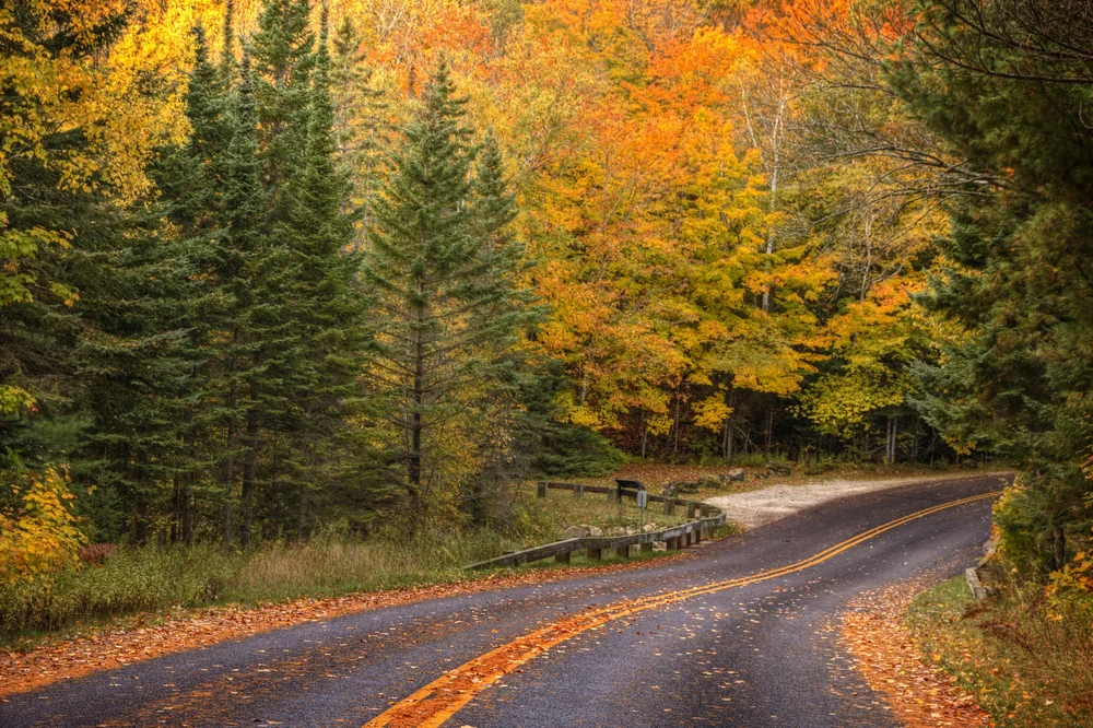 Things to Do inspiration for visiting Michigan’s Thumb